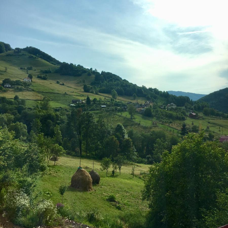 Cabana Baraj Apuseni Mountains Mihoesti Bagian luar foto