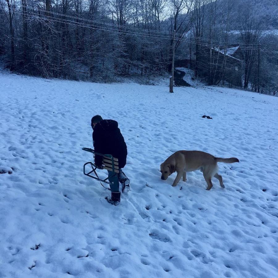 Cabana Baraj Apuseni Mountains Mihoesti Bagian luar foto