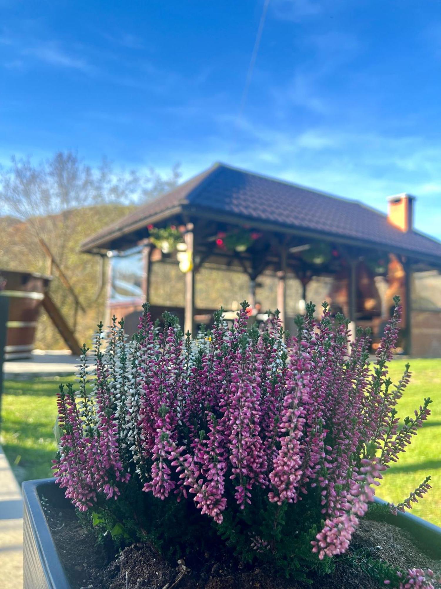 Cabana Baraj Apuseni Mountains Mihoesti Bagian luar foto