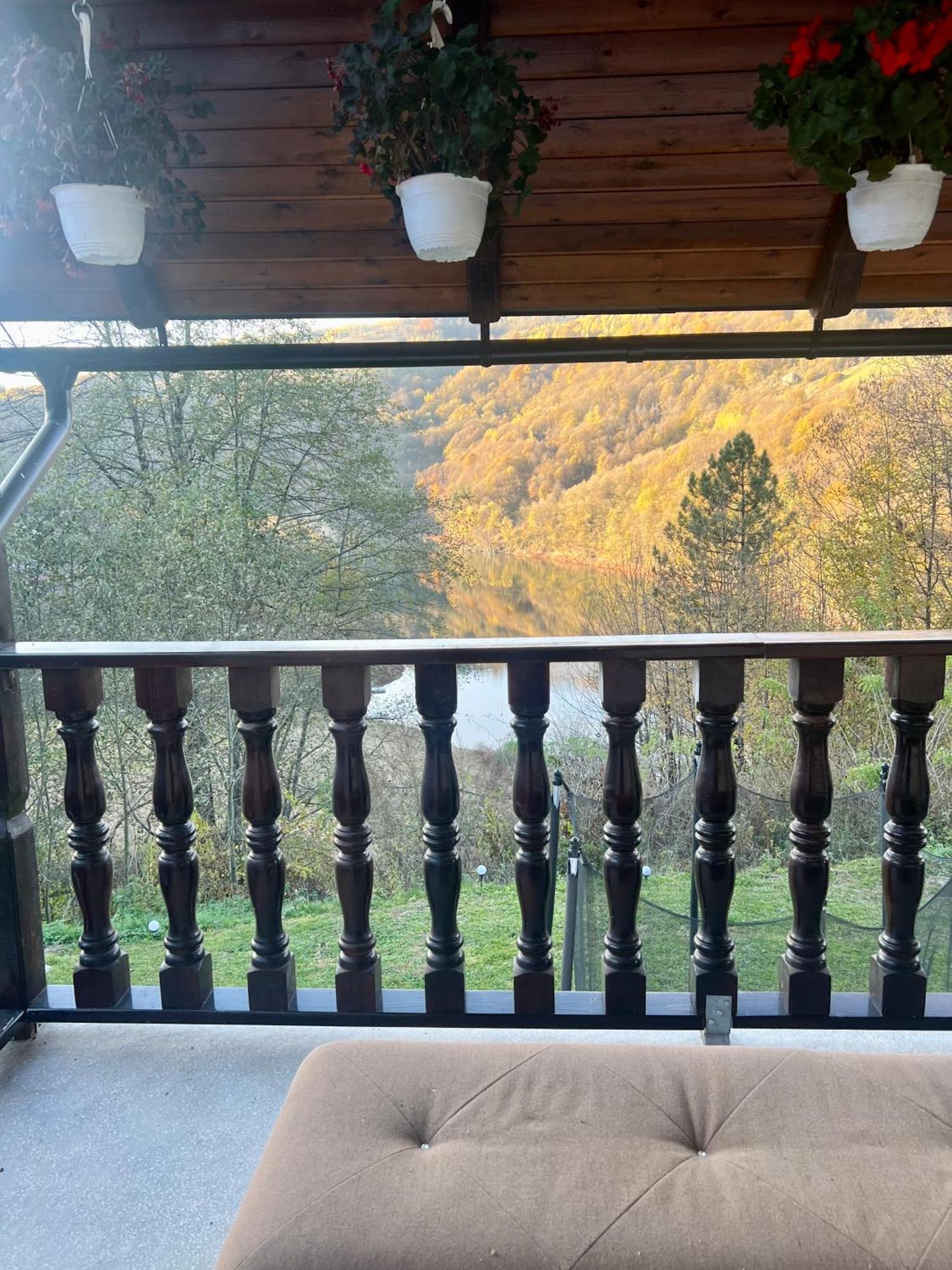 Cabana Baraj Apuseni Mountains Mihoesti Bagian luar foto